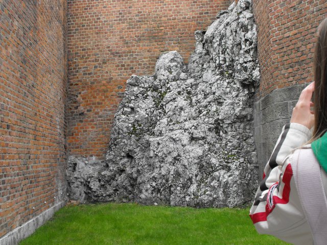 DSCF5021.JPG