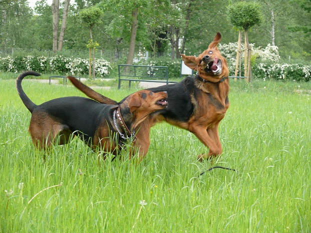 80.jpg