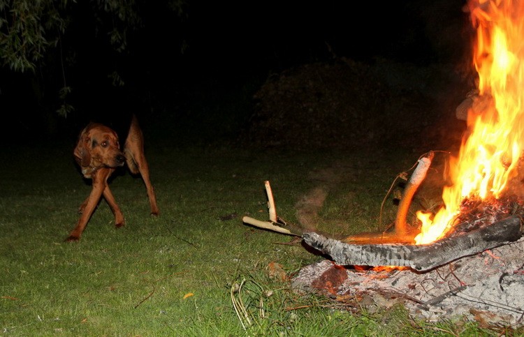 ... a ta noc ... niech trwa i trwa ... lalala