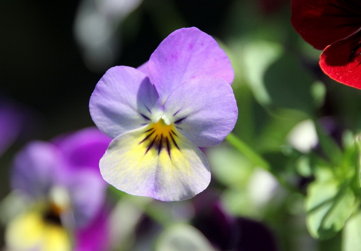IMG_5183_resize_resize.JPG