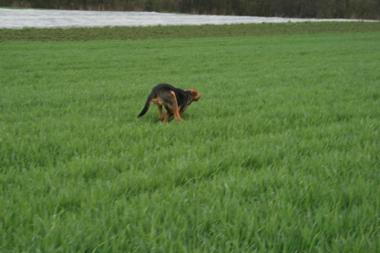 wielkanoc_2009 011.jpg