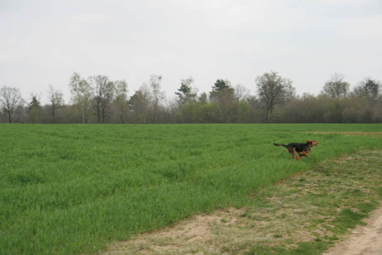 wielkanoc_2009 108.jpg