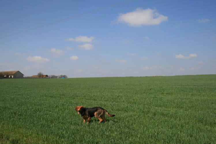 wielkanoc_2009 229.jpg