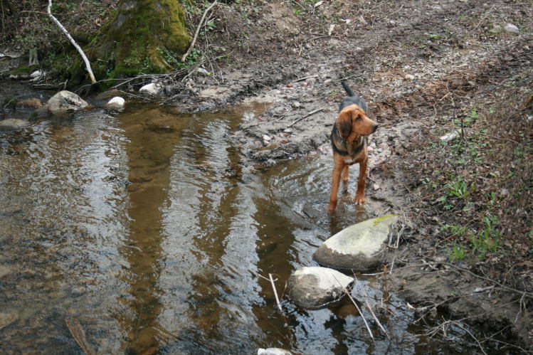 wielkanoc_2009 022.jpg