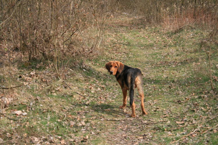 wielkanoc_2009 115.jpg