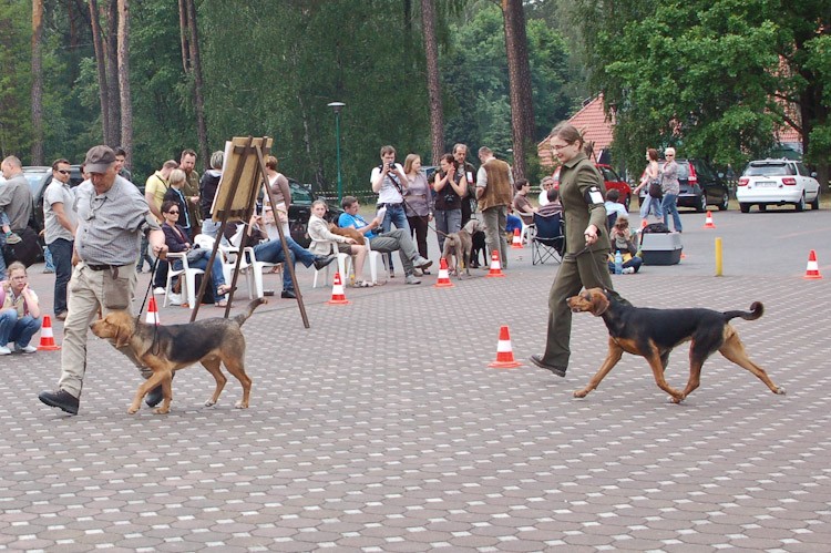 Antoninek-41.jpg