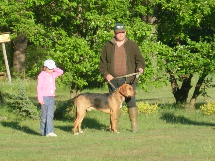 SDC10380.jpg