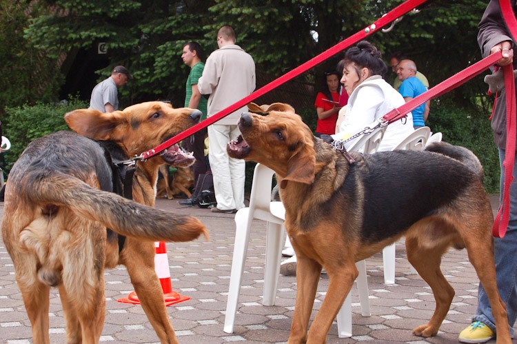... Jak dzieci, daję słowo!...