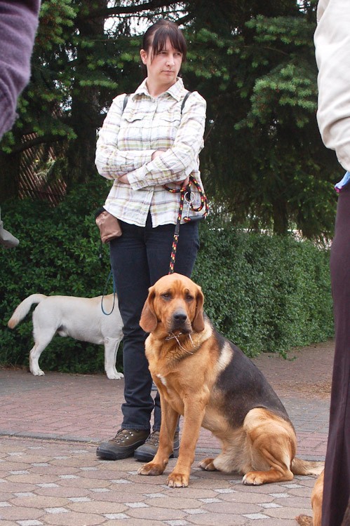 ...a Wierny patrzy, jakby też chciał z nimi powariować...