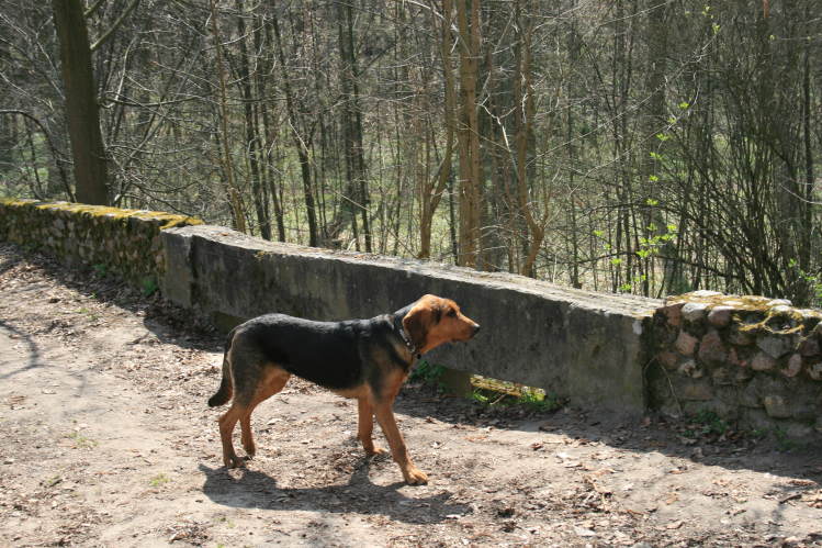 wielkanoc_2009 163.jpg
