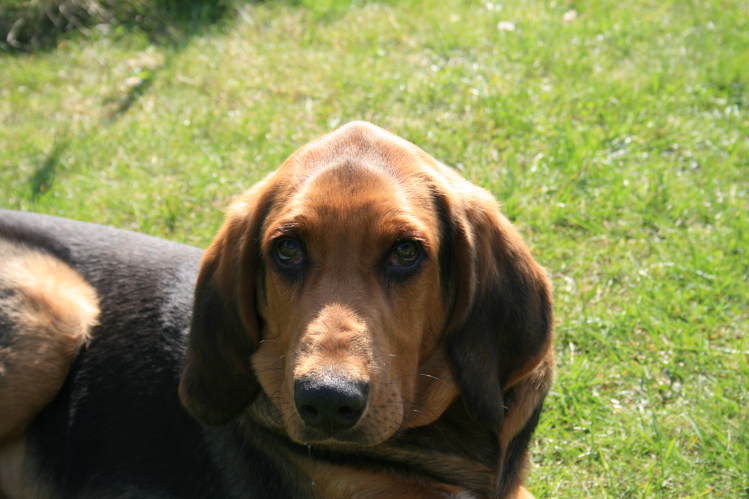 wielkanoc_2009 257.jpg