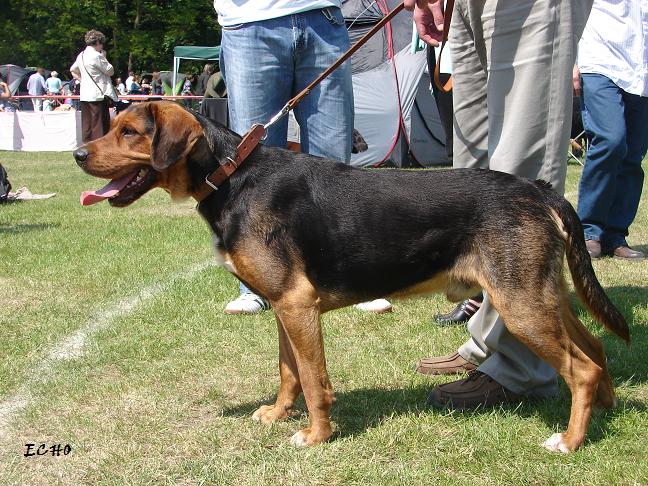 Łomot