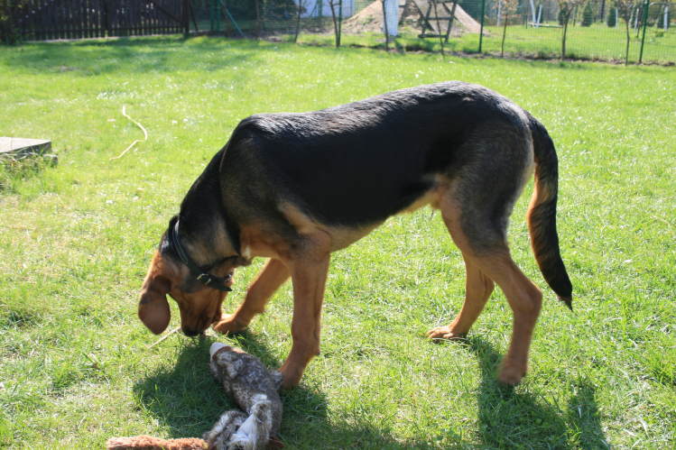 wielkanoc_2009 260.jpg