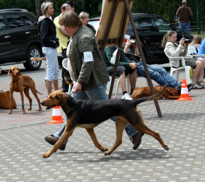 IMG_4445.JPG