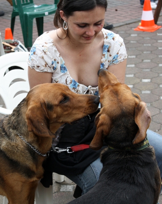 IMG_4478.JPG