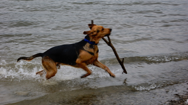 DSC08617.JPG