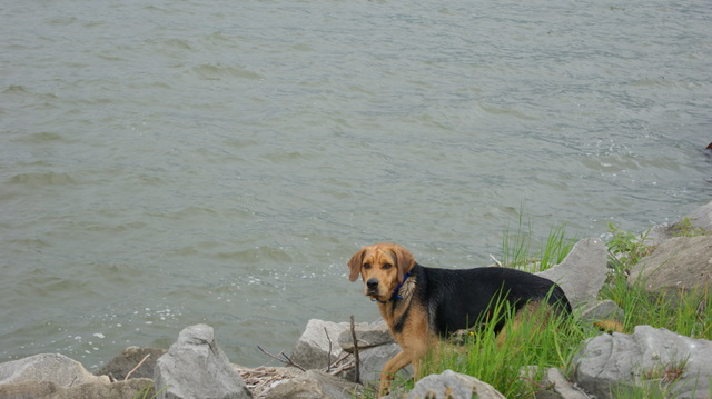 DSC08634.JPG