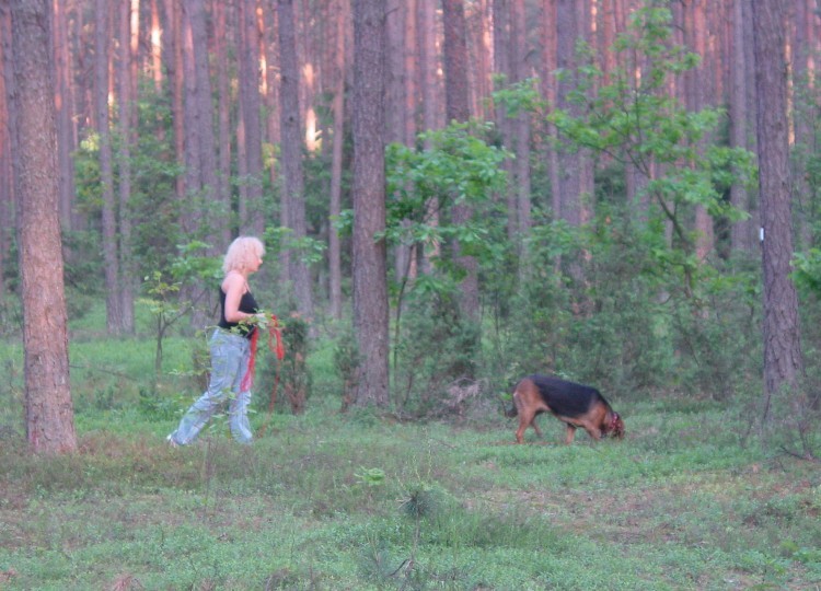 tropię.jpg