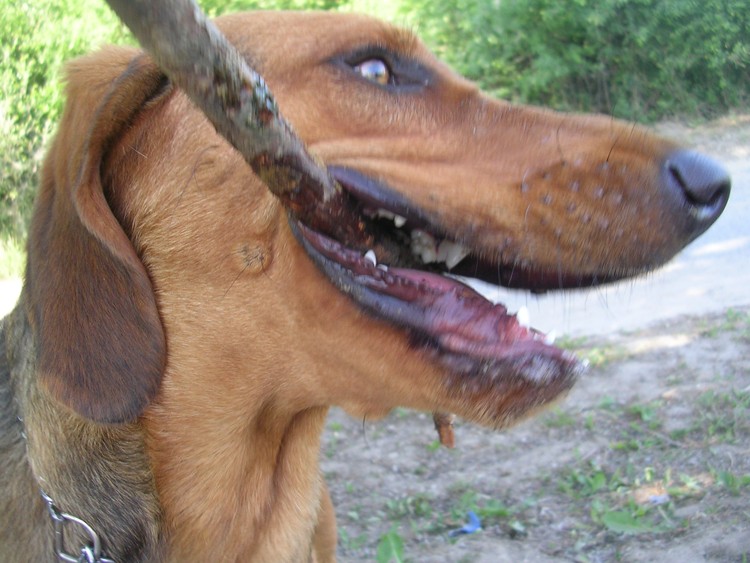 17.JPG