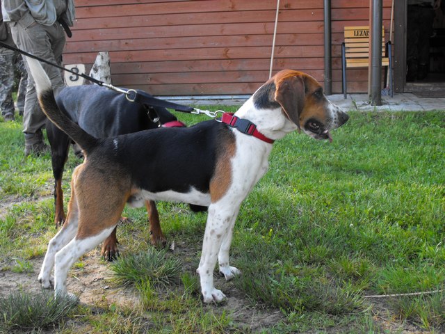 DSCF5002.JPG