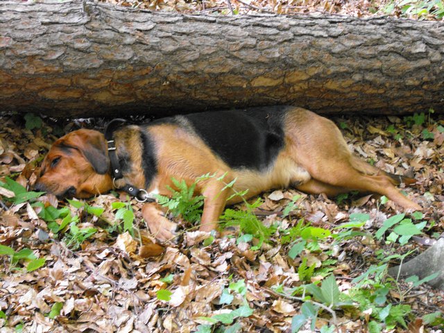 DSCF5024.JPG