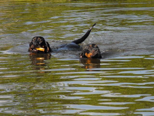 DSCF5029.JPG
