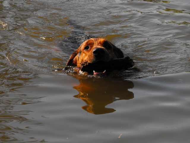 DSCF5031.JPG
