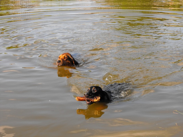 DSCF5033.JPG