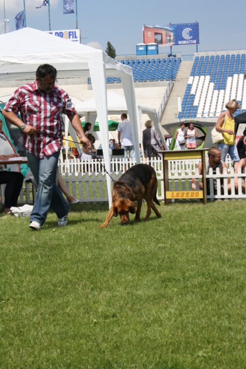 IMG_5209.JPG