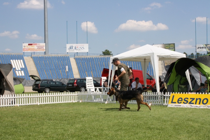IMG_5213.JPG
