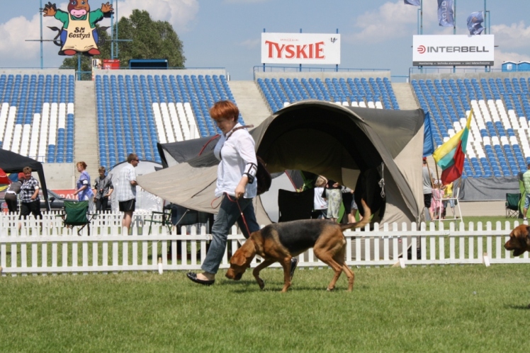 IMG_5282.JPG