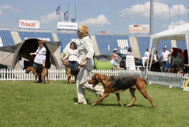IMG_5288.JPG
