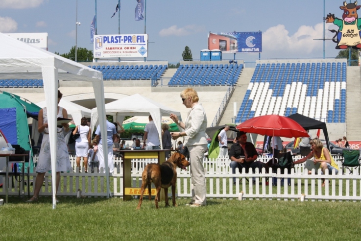 IMG_5290.JPG