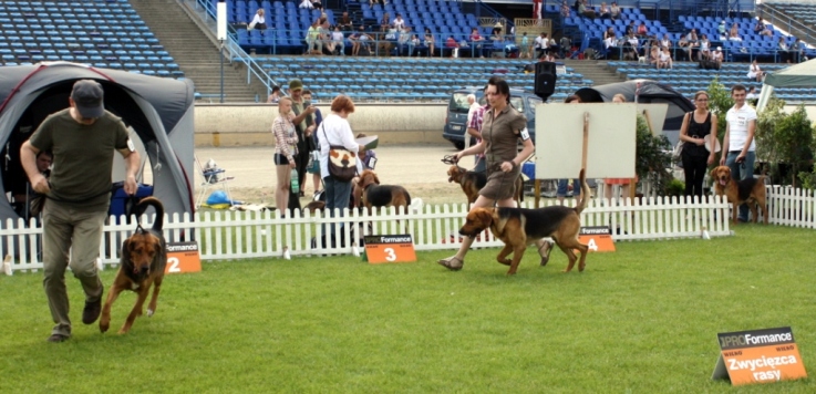 IMG_5317.JPG