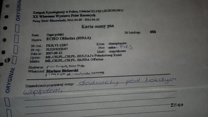 OPIS ;)).JPG