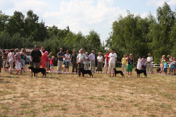 piknik mysliwski 5-06-2011 4.jpg