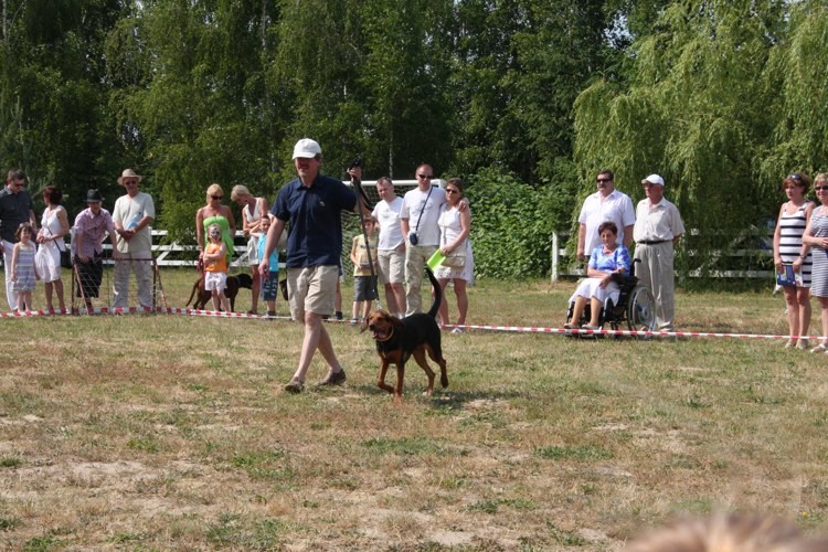 piknik mysliwski 5-06-2011 2.jpg
