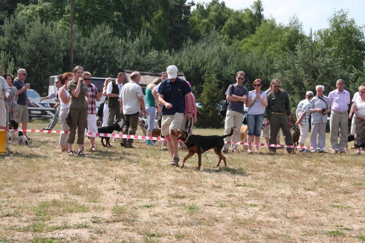 piknik mysliwski 5-06-2011 1.jpg
