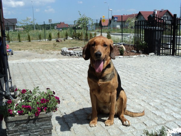 Taka jestem laska