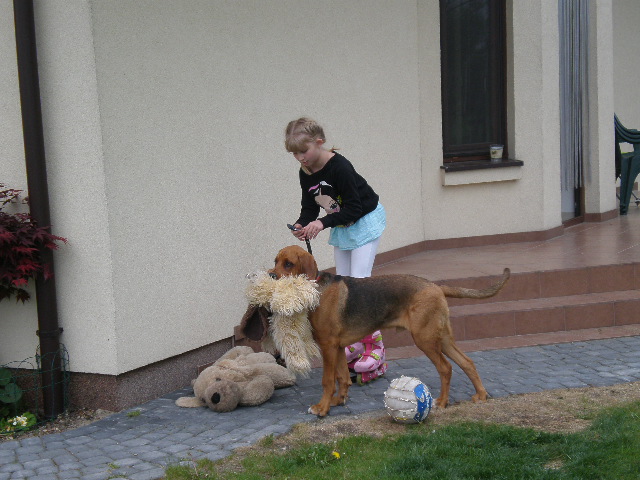 P5154940.JPG