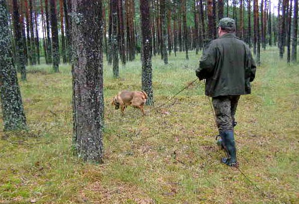 Tropka na tropie