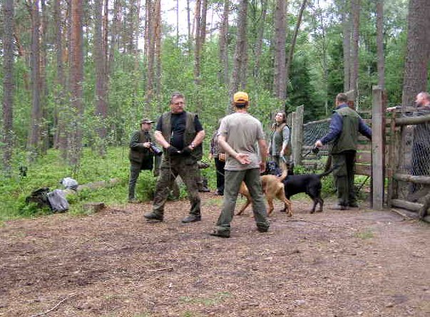 piątek, Tropka z Trekiem opuszczają zagrodę