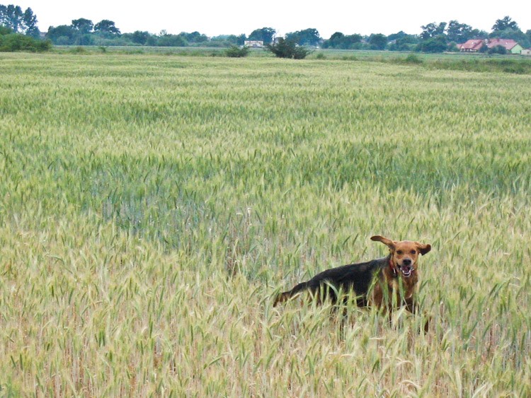 calveciki -916.jpg