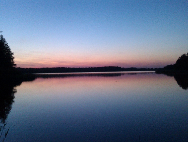 IMAG0200.jpg