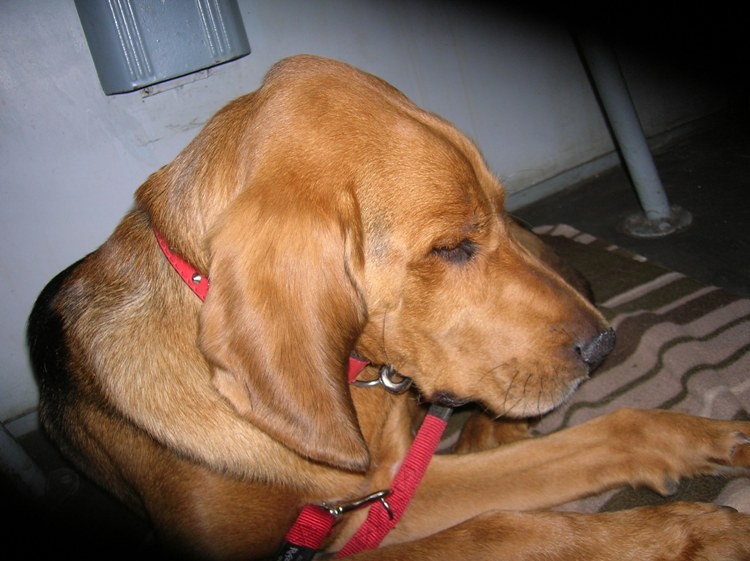 DSCN5265.JPG