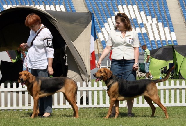 Czata i Zalotka