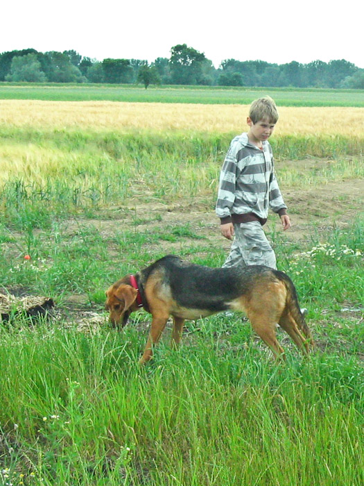 kapl-4.jpg