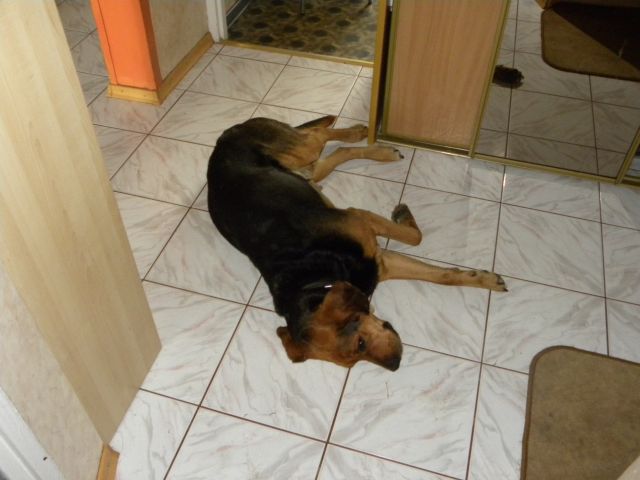 Obraz 222.jpg