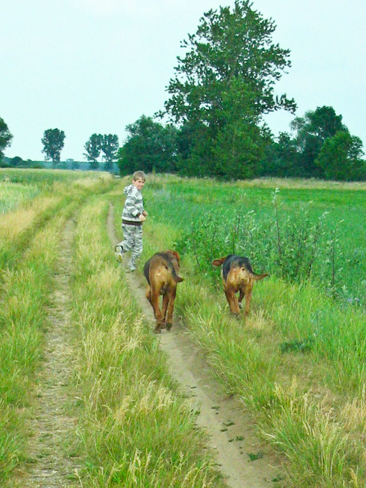 kapl-7.jpg