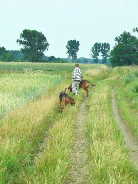 kapl-8.jpg